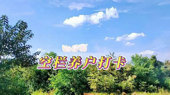 喀什农村365视频，记录乡村生活的真实脉动