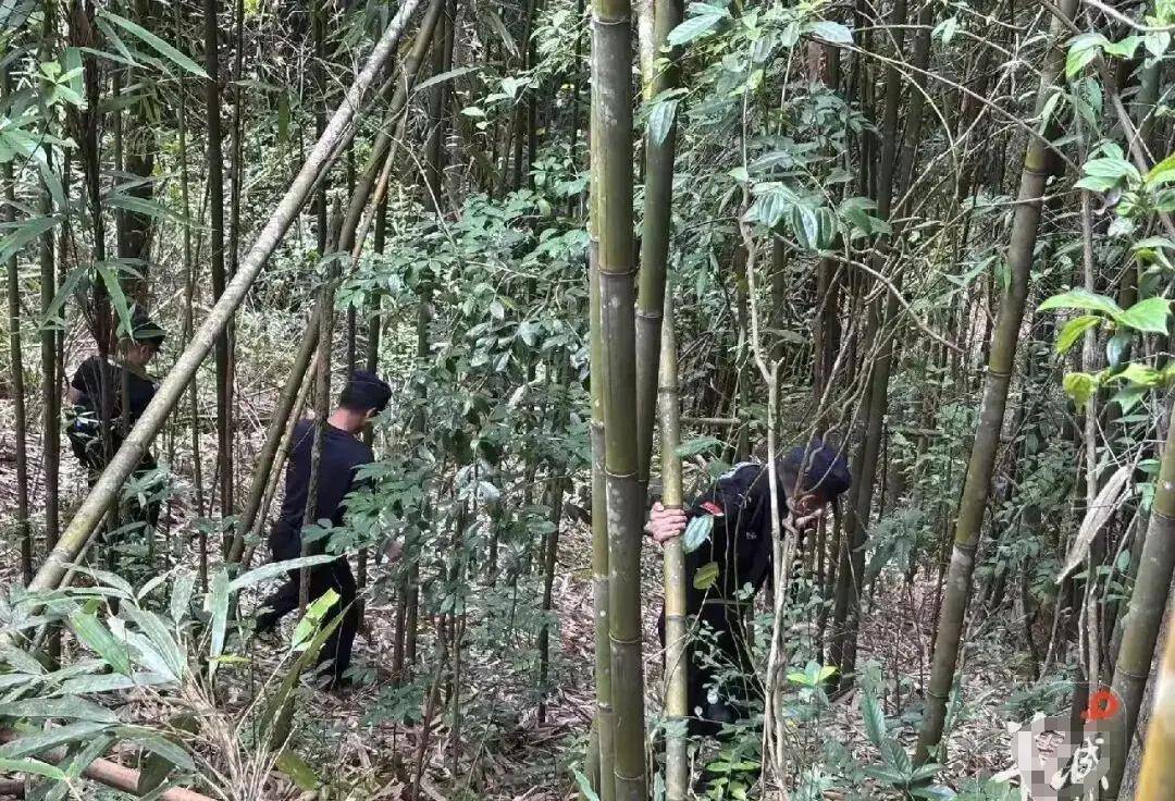 13岁男孩失联多日后奇迹生还，仅靠喝水在荒野中存活