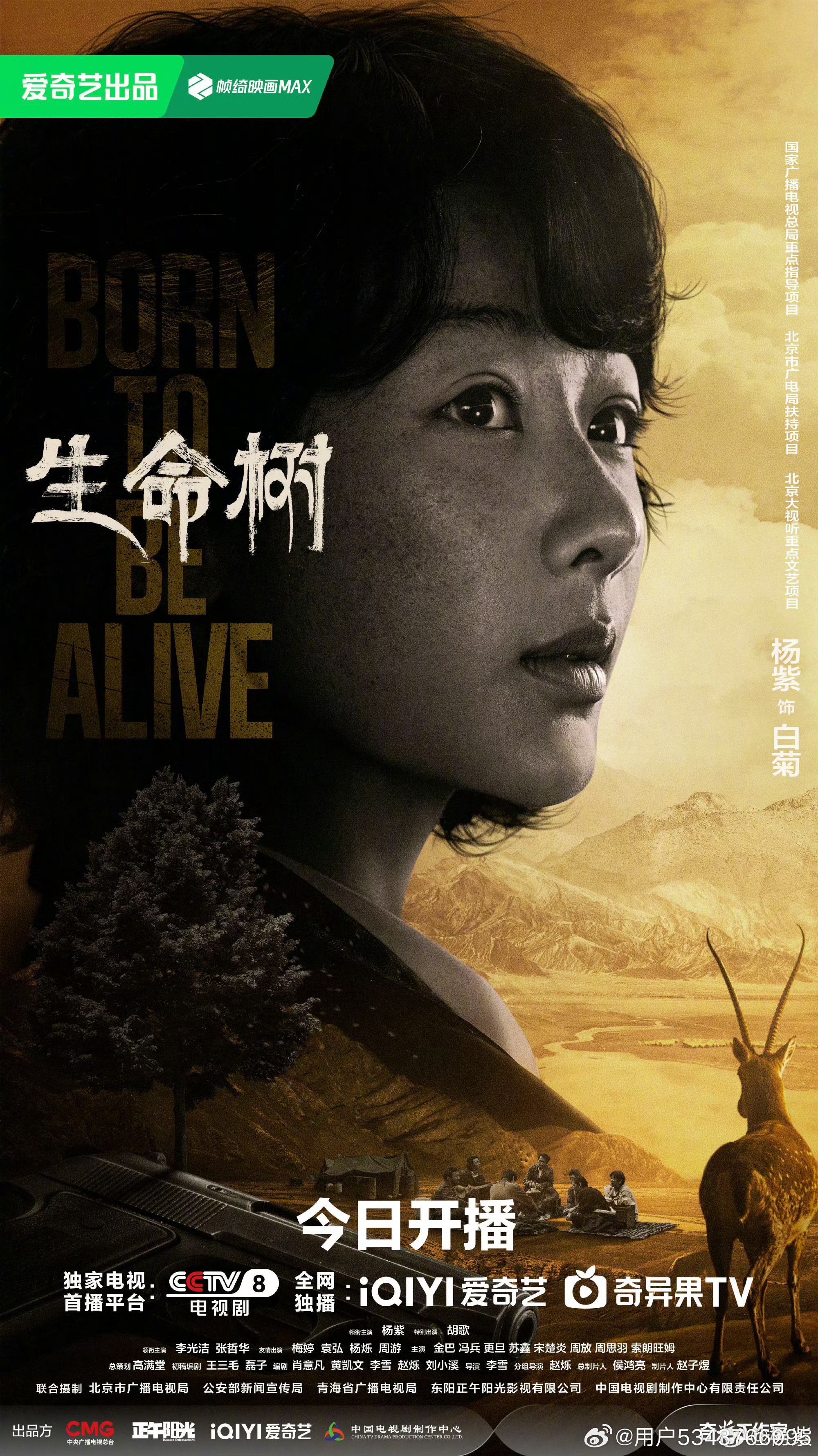 李雪凭生命树荣获白玉兰最佳导演，艺术与生活的深度交融
