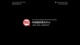 用Golang写出一个365dni在线视频中文字幕爬虫？别急，先看这篇
