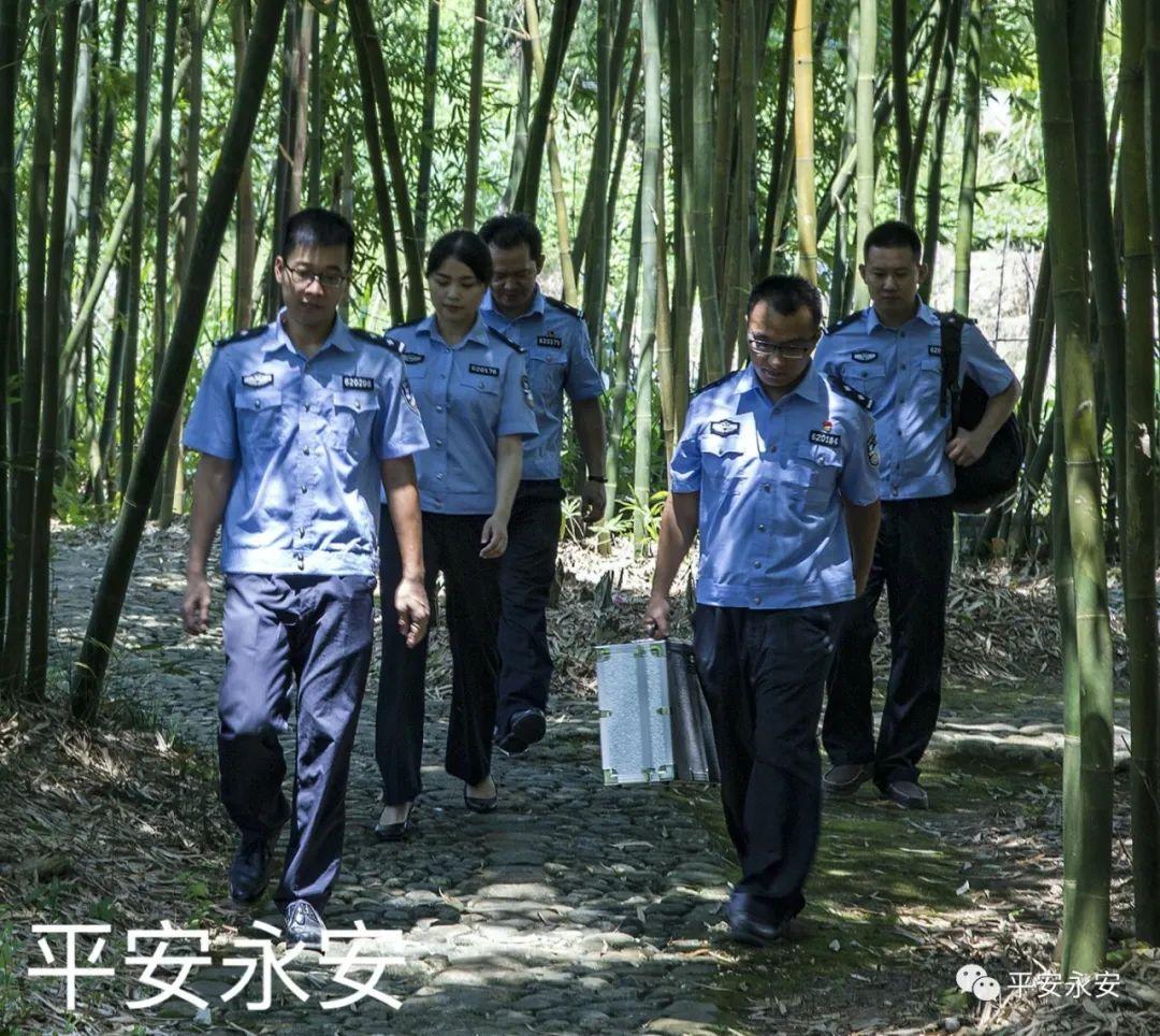 V365监控视频密码忘记怎么办？别急，我来帮你一步步搞定
