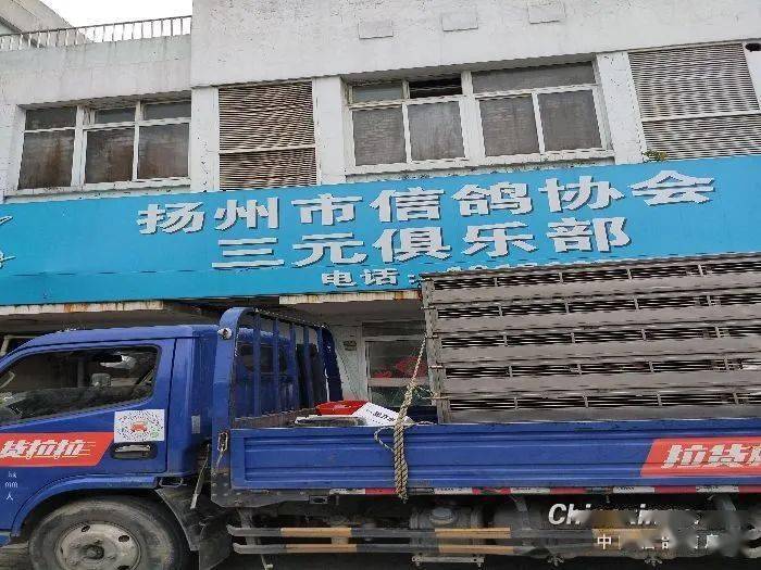 365天第三集解说视频，从绝望到希望的366天，我们到底在等什么？